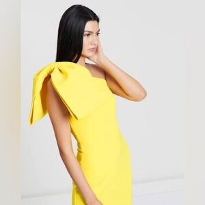 NWT XS Rebecca Vallance Hamptons Bow mini dress (Originally $649)